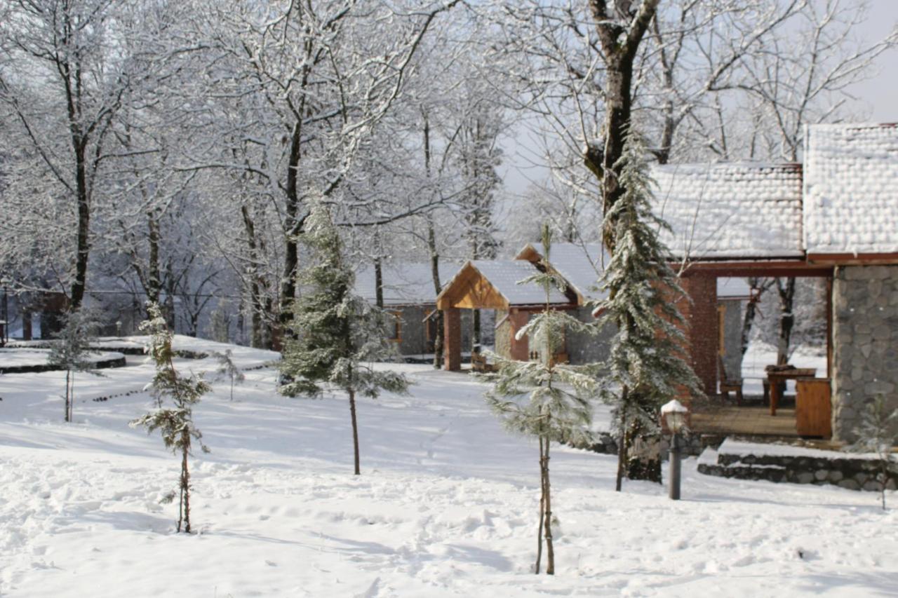 Talistan Forest Park Hotel ภายนอก รูปภาพ